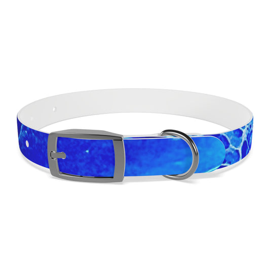 Personalised Dog Collar