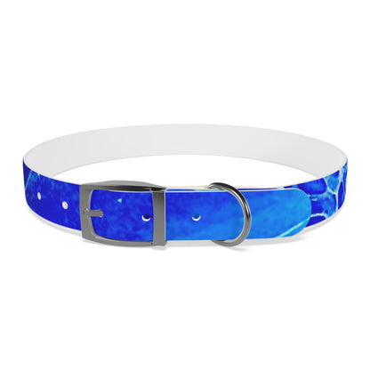 Personalised Dog Collar