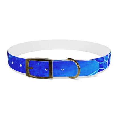 Personalised Dog Collar