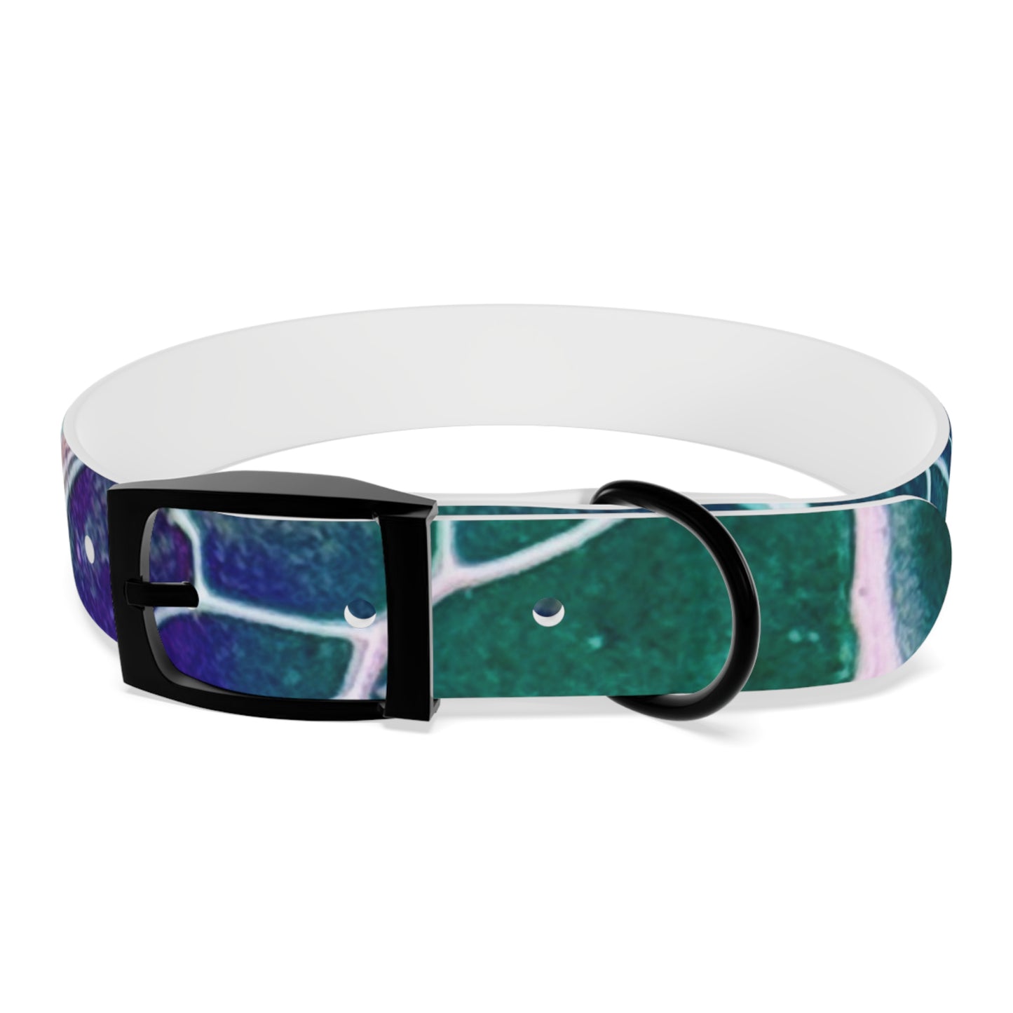 Personalised Dog Collar