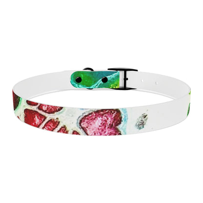 Personalised Dog Collar