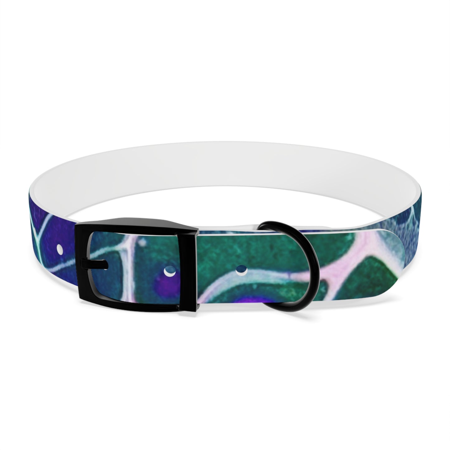 Personalised Dog Collar