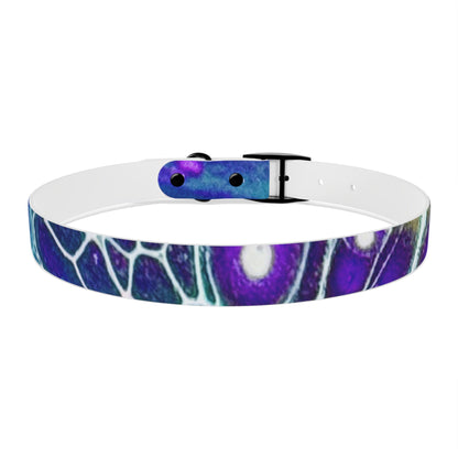 Personalised Dog Collar