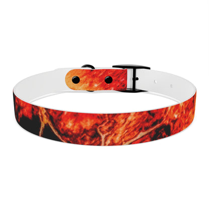 Personalised Dog Collar