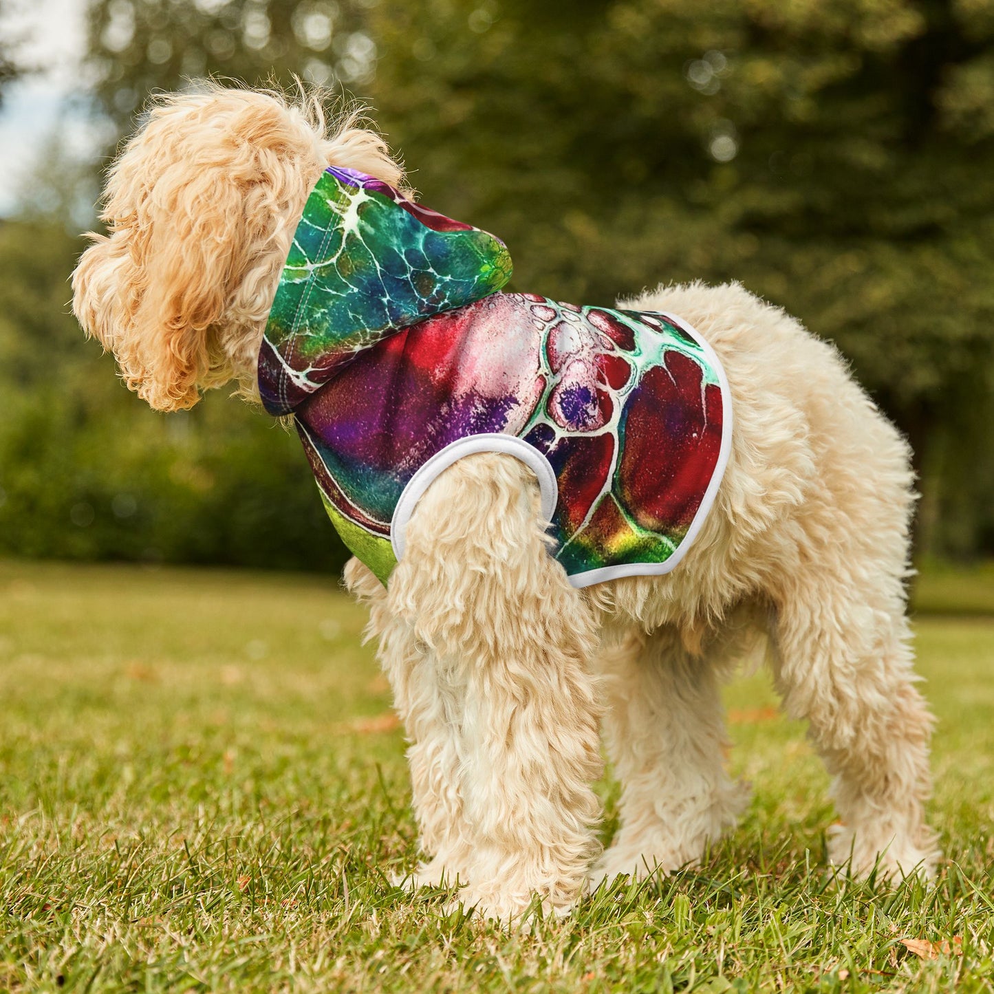 Unique Pet Hoodie
