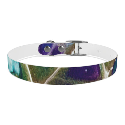 Personalised Dog Collar