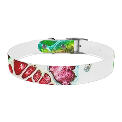 Personalised Dog Collar