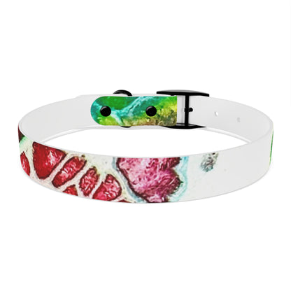 Personalised Dog Collar