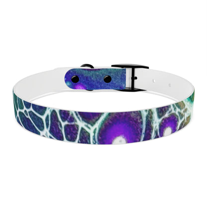 Personalised Dog Collar