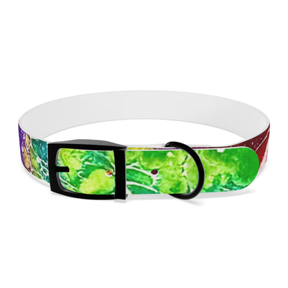 Personalised Dog Collar