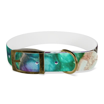 Personalised Dog Collar