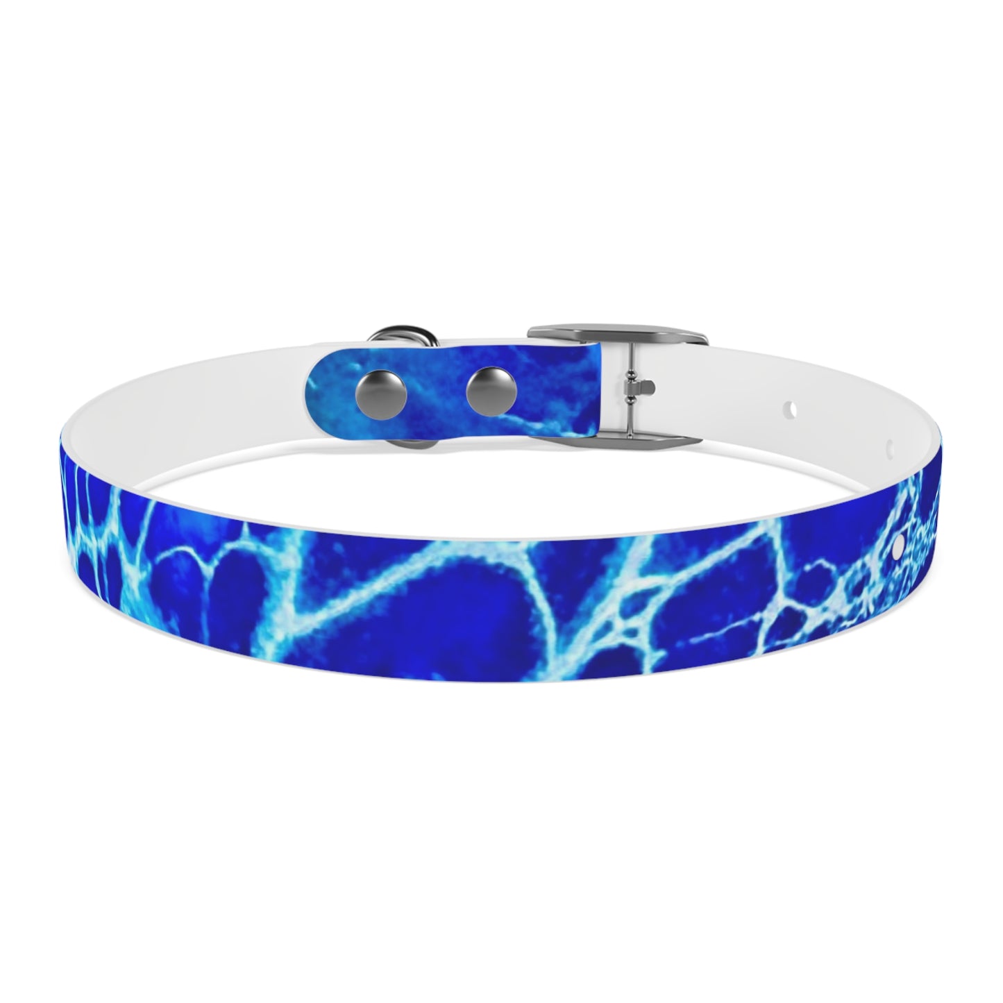 Personalised Dog Collar