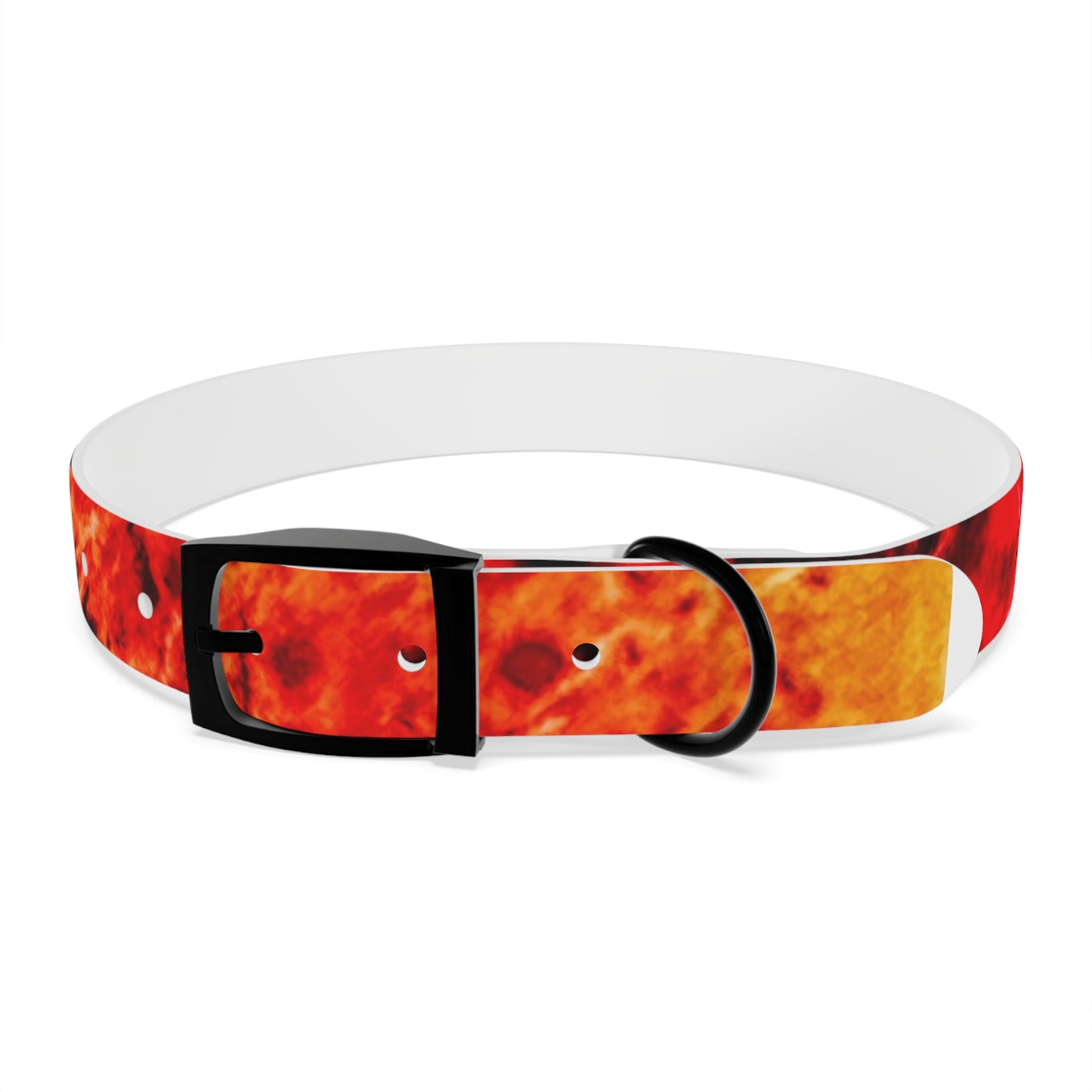 Personalised Dog Collar