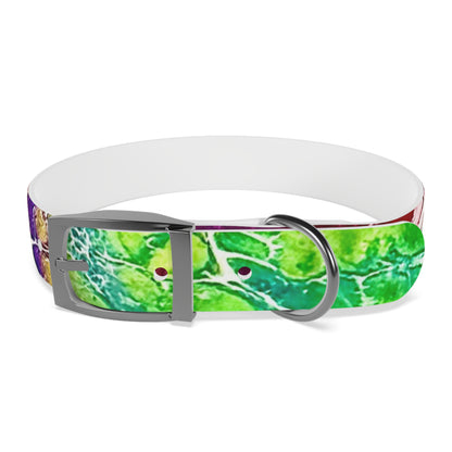 Personalised Dog Collar