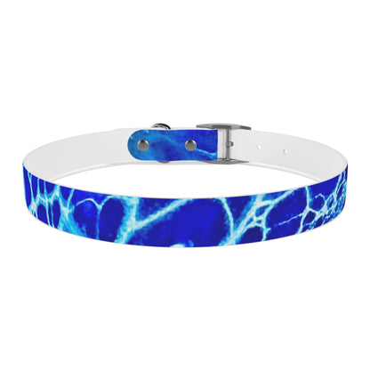 Personalised Dog Collar