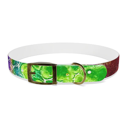 Personalised Dog Collar