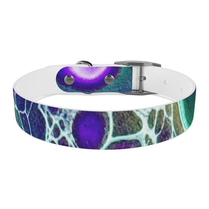 Personalised Dog Collar