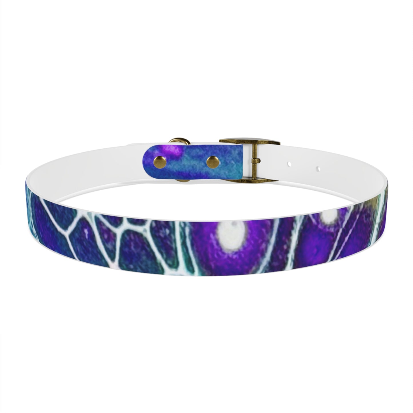 Personalised Dog Collar