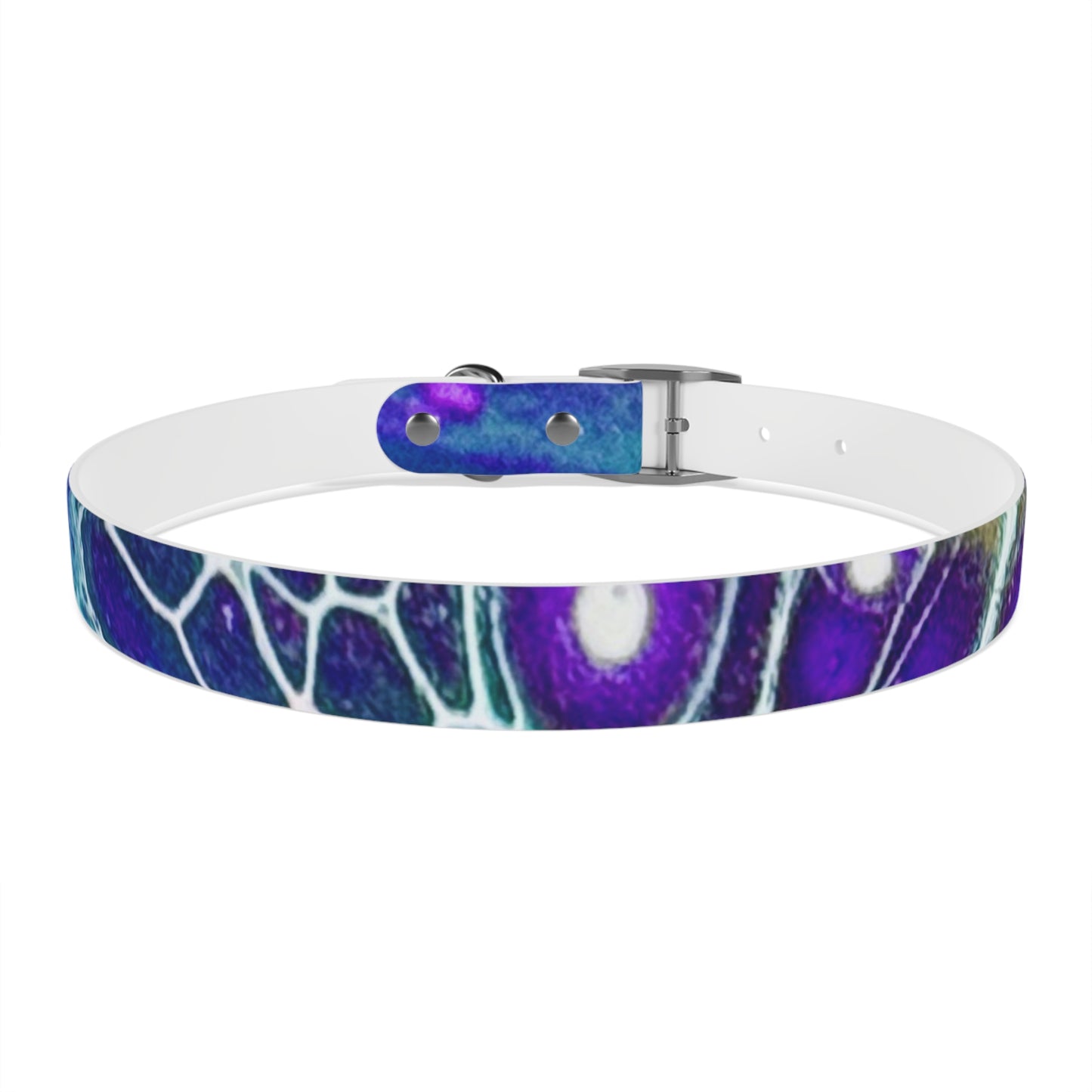 Personalised Dog Collar