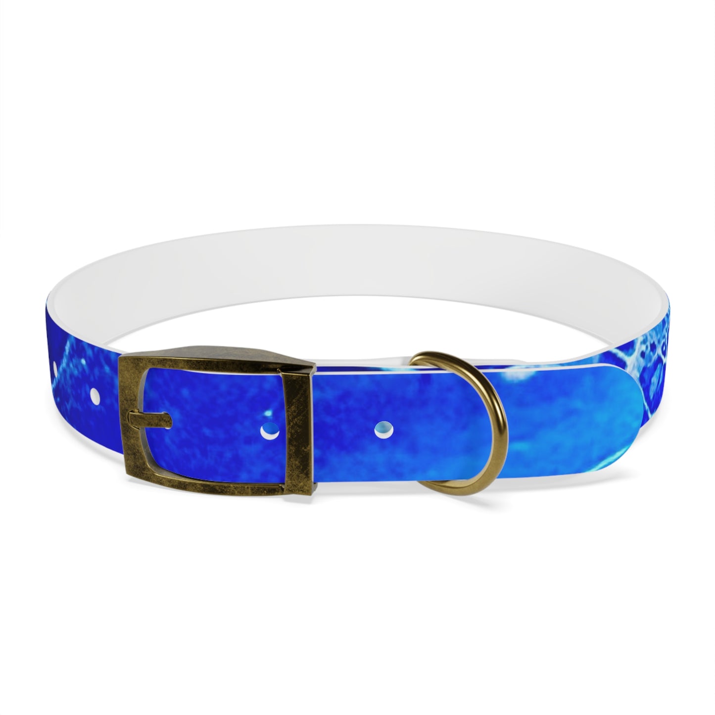 Personalised Dog Collar