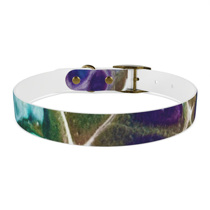 Personalised Dog Collar