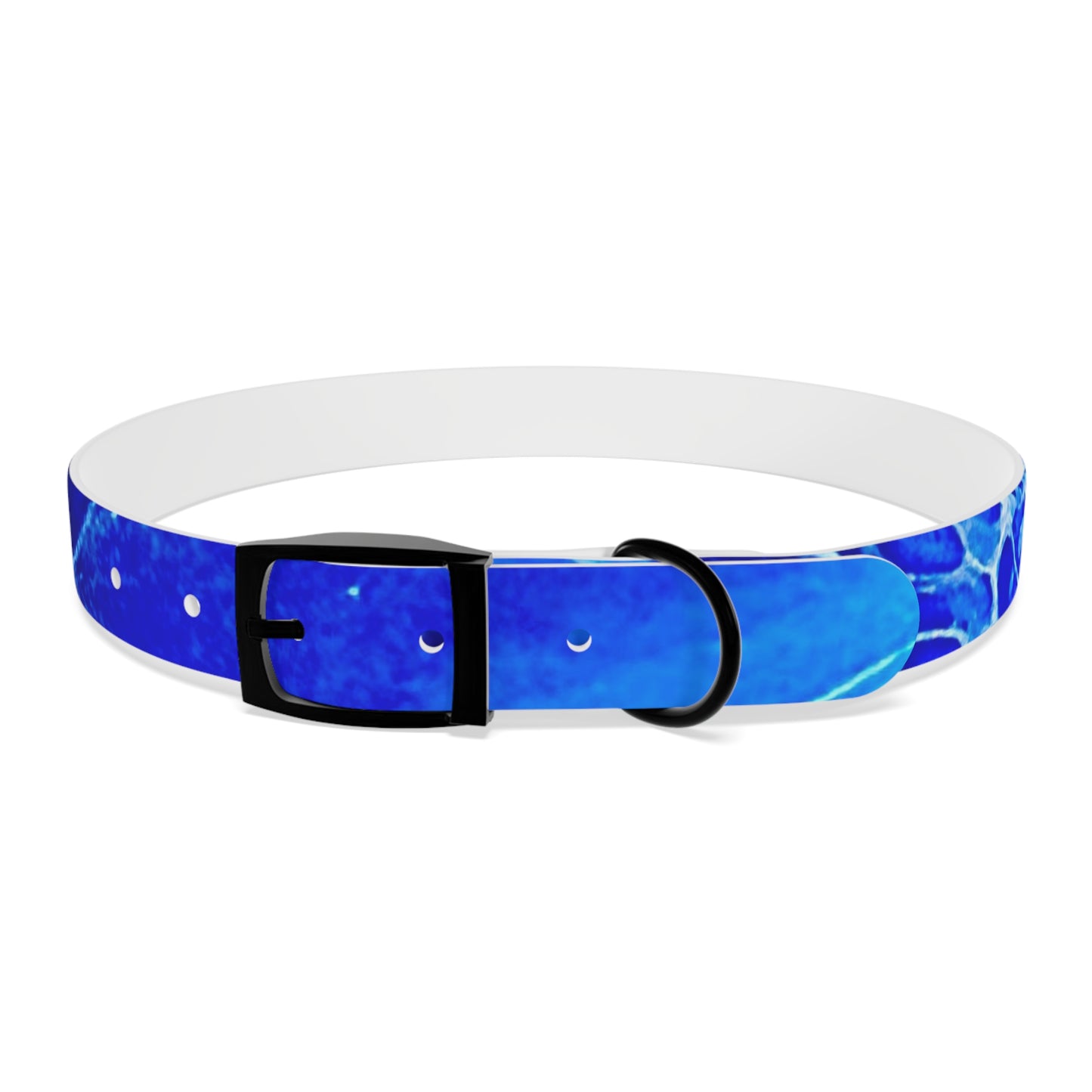 Personalised Dog Collar