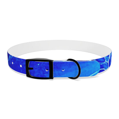 Personalised Dog Collar