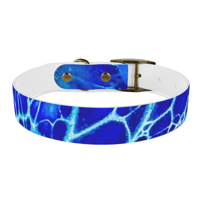 Personalised Dog Collar