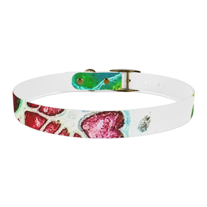 Personalised Dog Collar