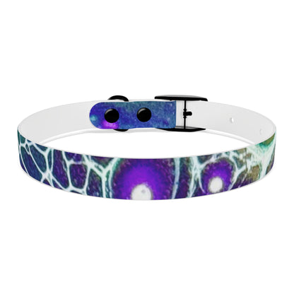 Personalised Dog Collar