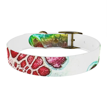 Personalised Dog Collar