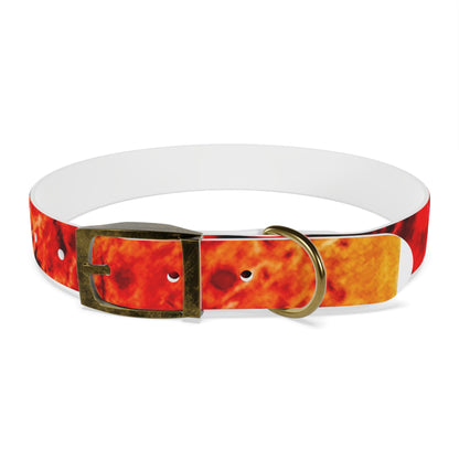 Personalised Dog Collar