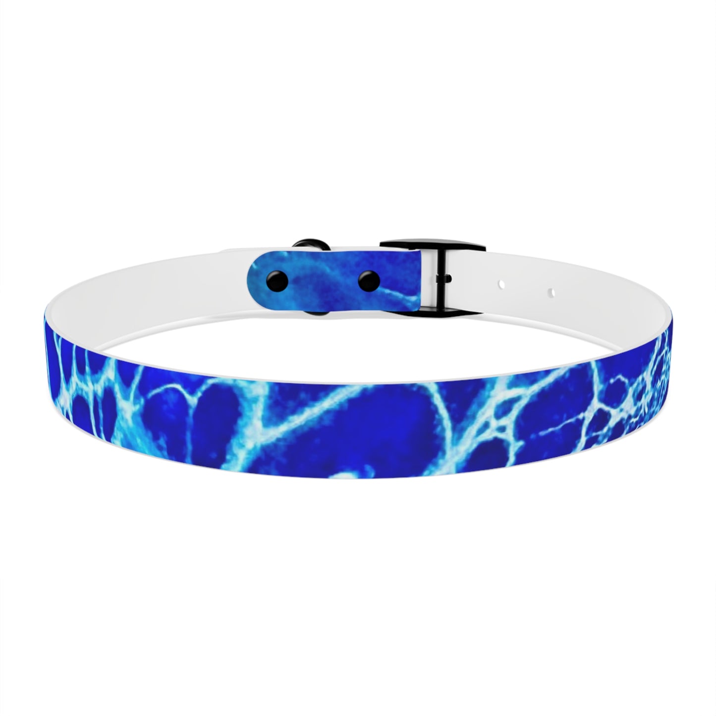 Personalised Dog Collar