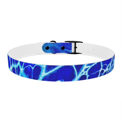 Personalised Dog Collar