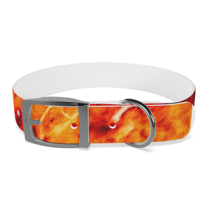 Personalised Dog Collar