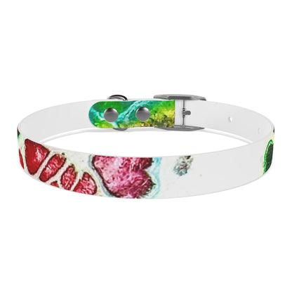 Personalised Dog Collar