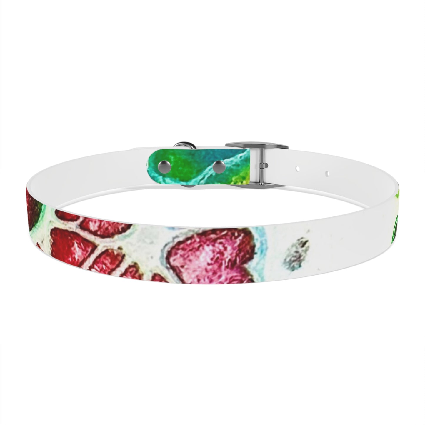 Personalised Dog Collar