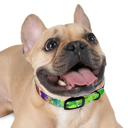 Personalised Dog Collar