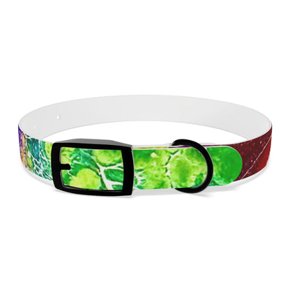 Personalised Dog Collar