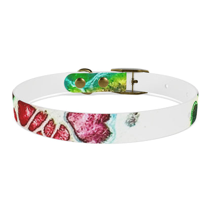 Personalised Dog Collar