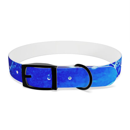 Personalised Dog Collar