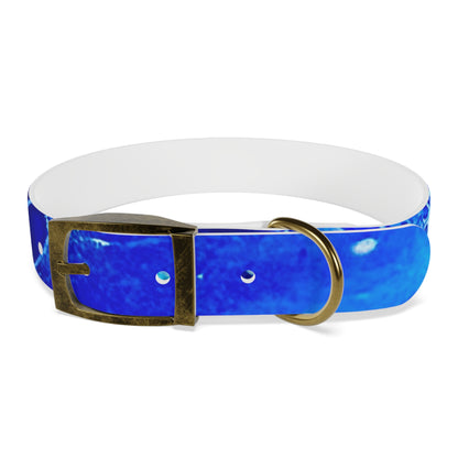 Personalised Dog Collar