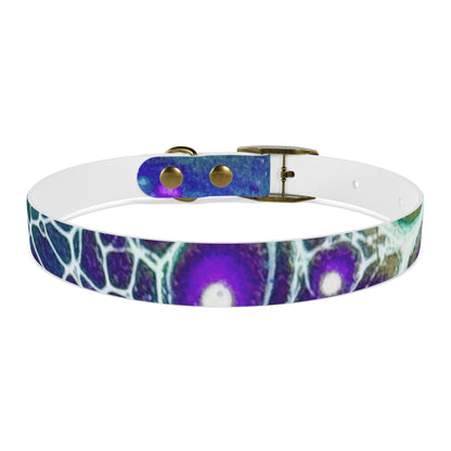 Personalised Dog Collar