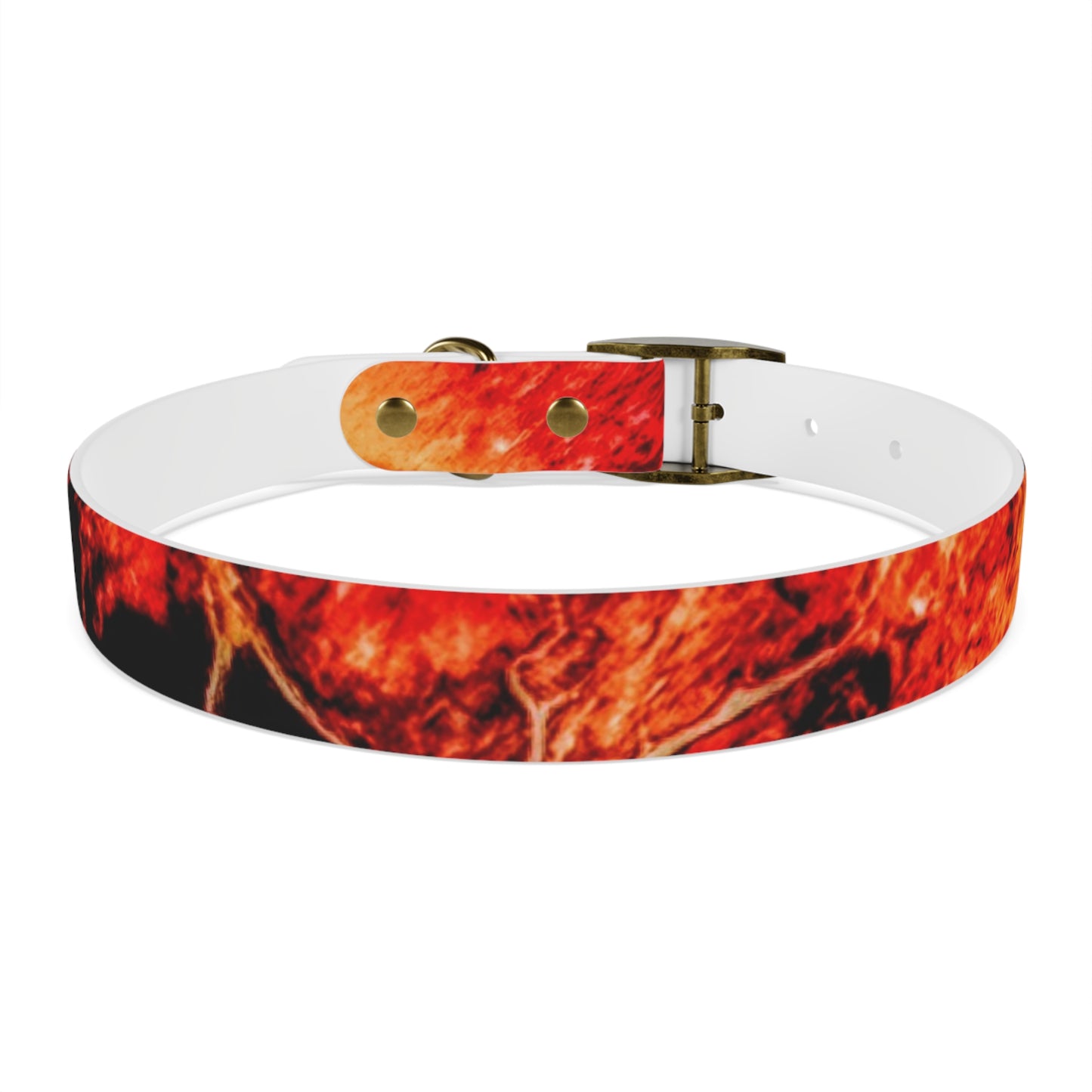 Personalised Dog Collar