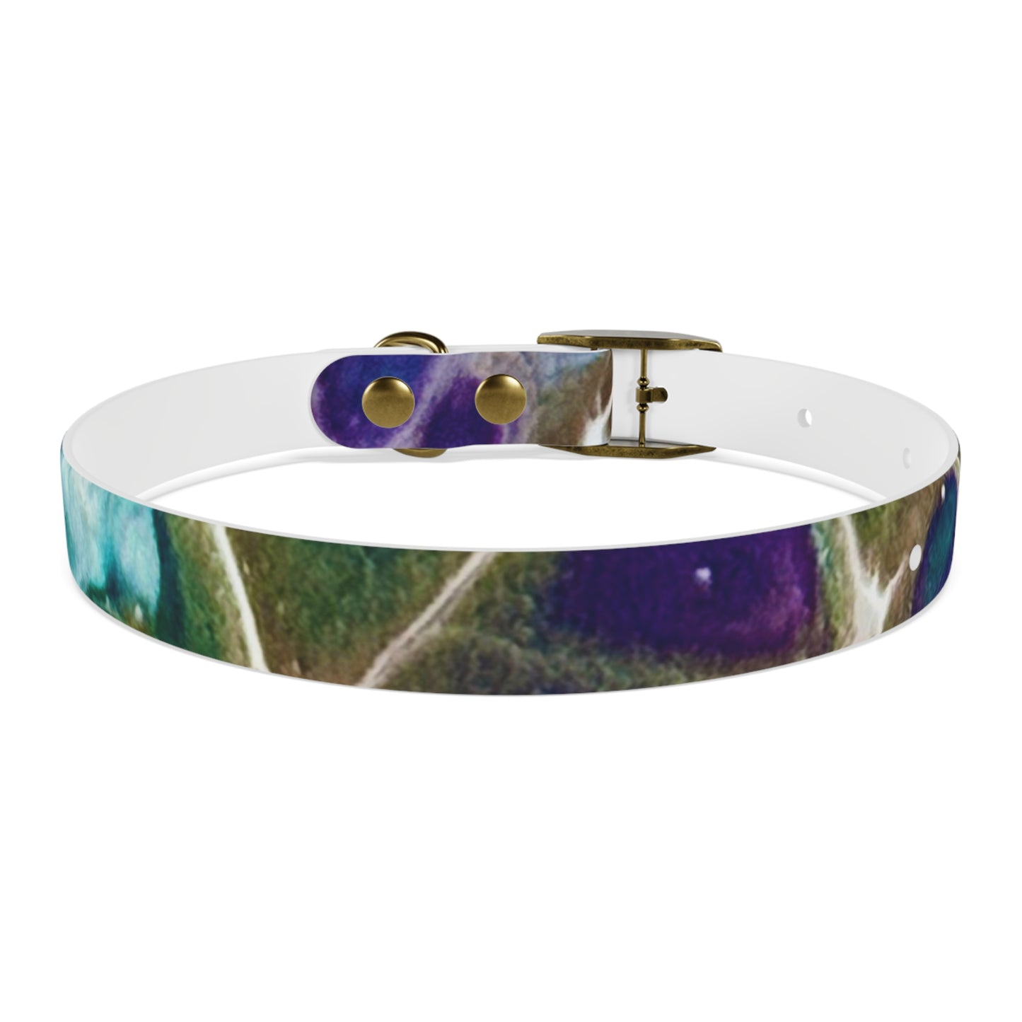 Personalised Dog Collar