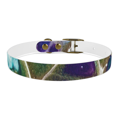 Personalised Dog Collar