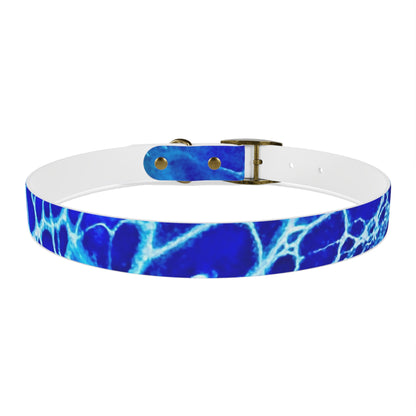 Personalised Dog Collar