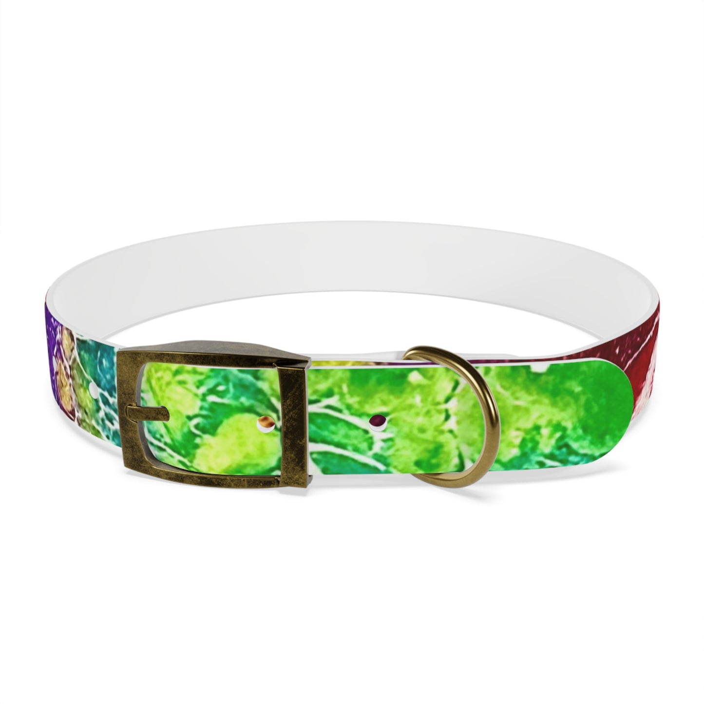 Personalised Dog Collar