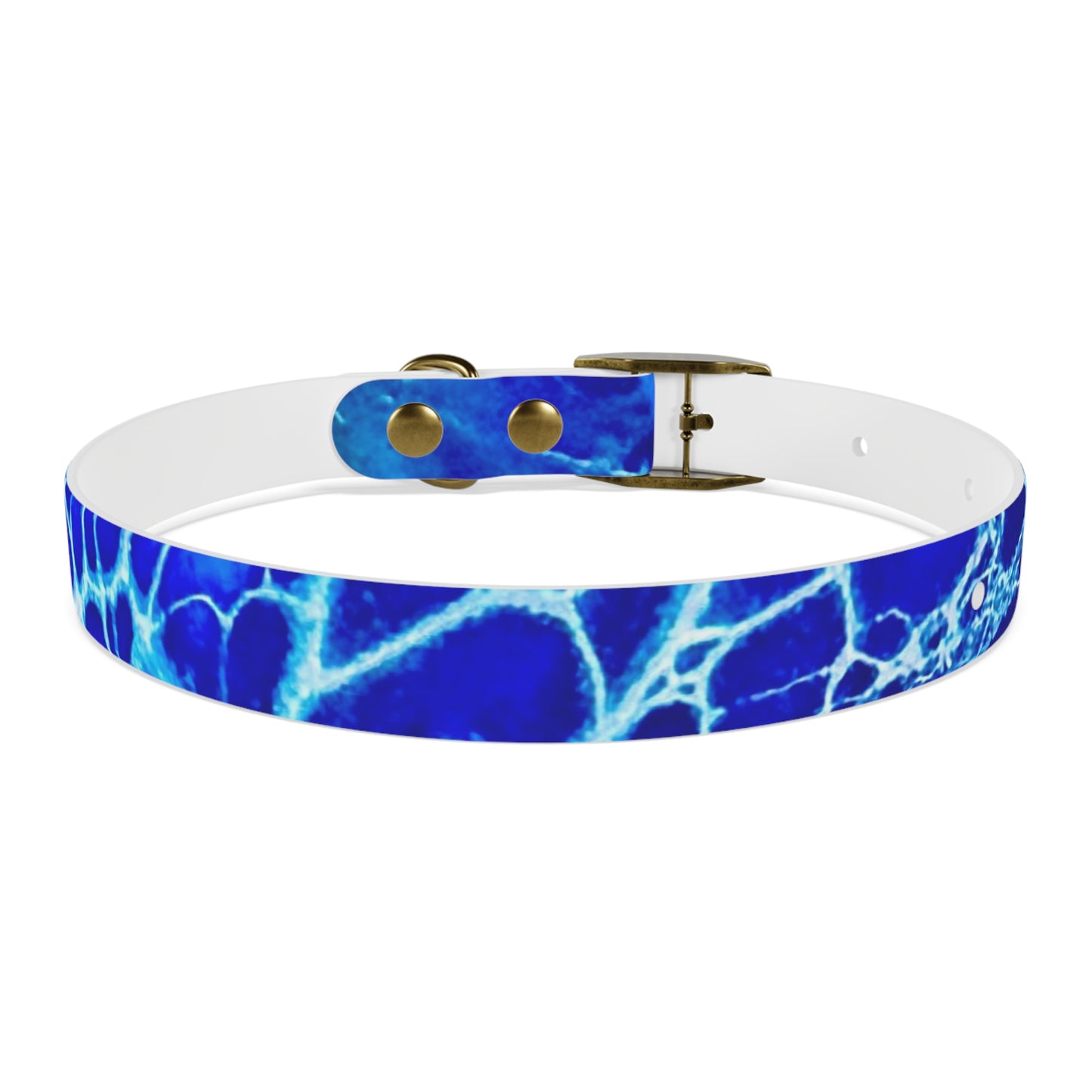 Personalised Dog Collar