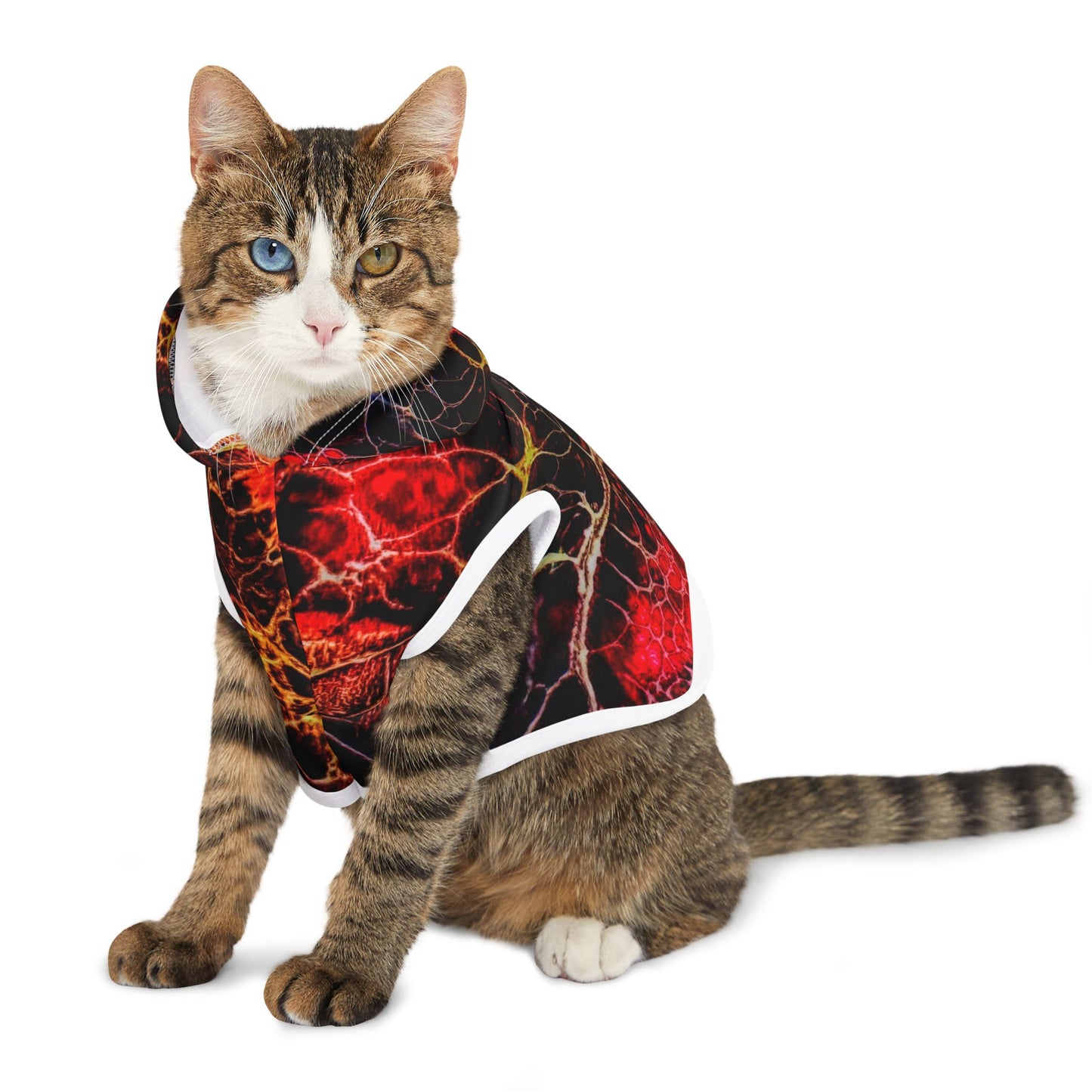 Unique Pet Hoodie